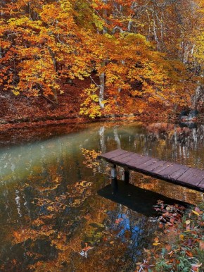 Национальный парк "Крымский"