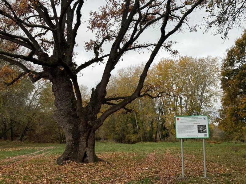 До конца года в Севастополе обозначат 45 особо охраняемых природных территорий До конца года в Севастополе обозначат 45 особо охраняемых природных территорий