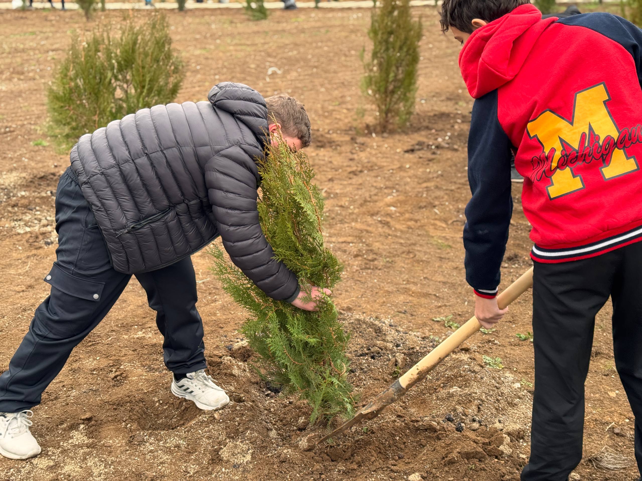 В селе Луганское высадили 160 саженцев деревьев в новом парке В селе Луганское высадили 160 саженцев деревьев в новом парке