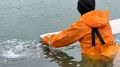 В водохранилища Крыма выпустят свыше 900 тысяч мальков амура и толстолобика