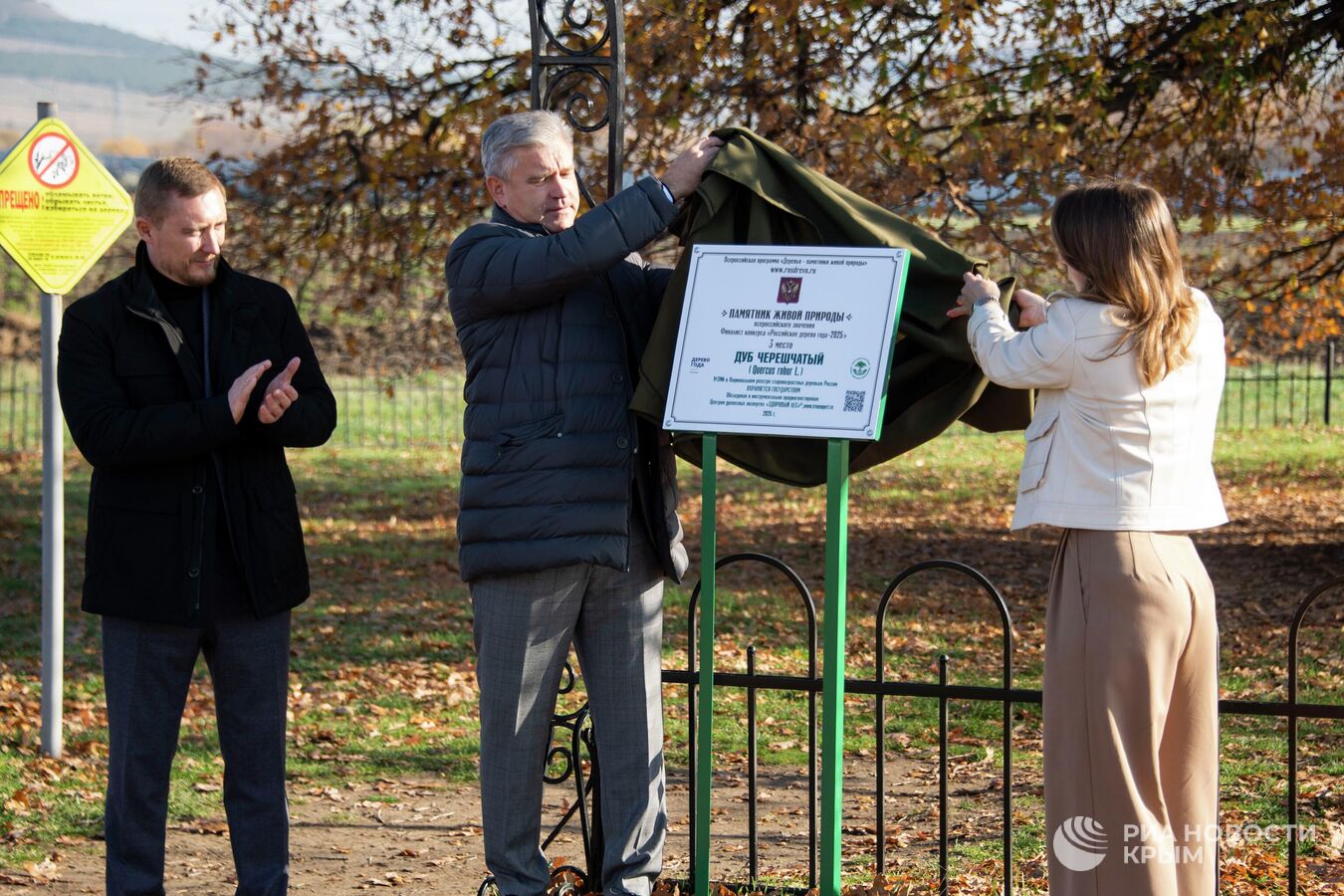 Крымский дуб стал одним из победителей всероссийского конкурса деревьев Крымский дуб стал одним из победителей всероссийского конкурса деревьев