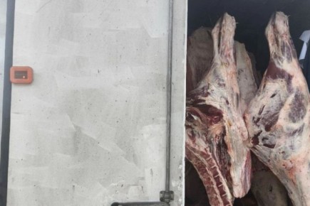 В Крым из Краснодарского края пытались ввести полтонны опасной говядины