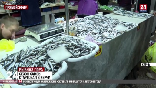 Почти на четыре тысячи тонн выросла добыча хамсы в Азово-Черноморском бассейне в этом году