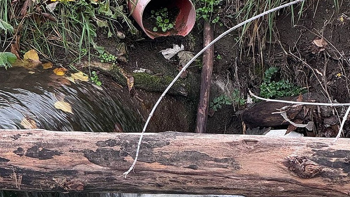 Мыльная пена – большая проблема! В Симферополе бытовые стоки слили в реку Славянка