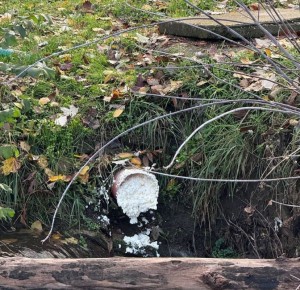 Тайна подозрительной пены в реке Славянка в Симферополе раскрыта