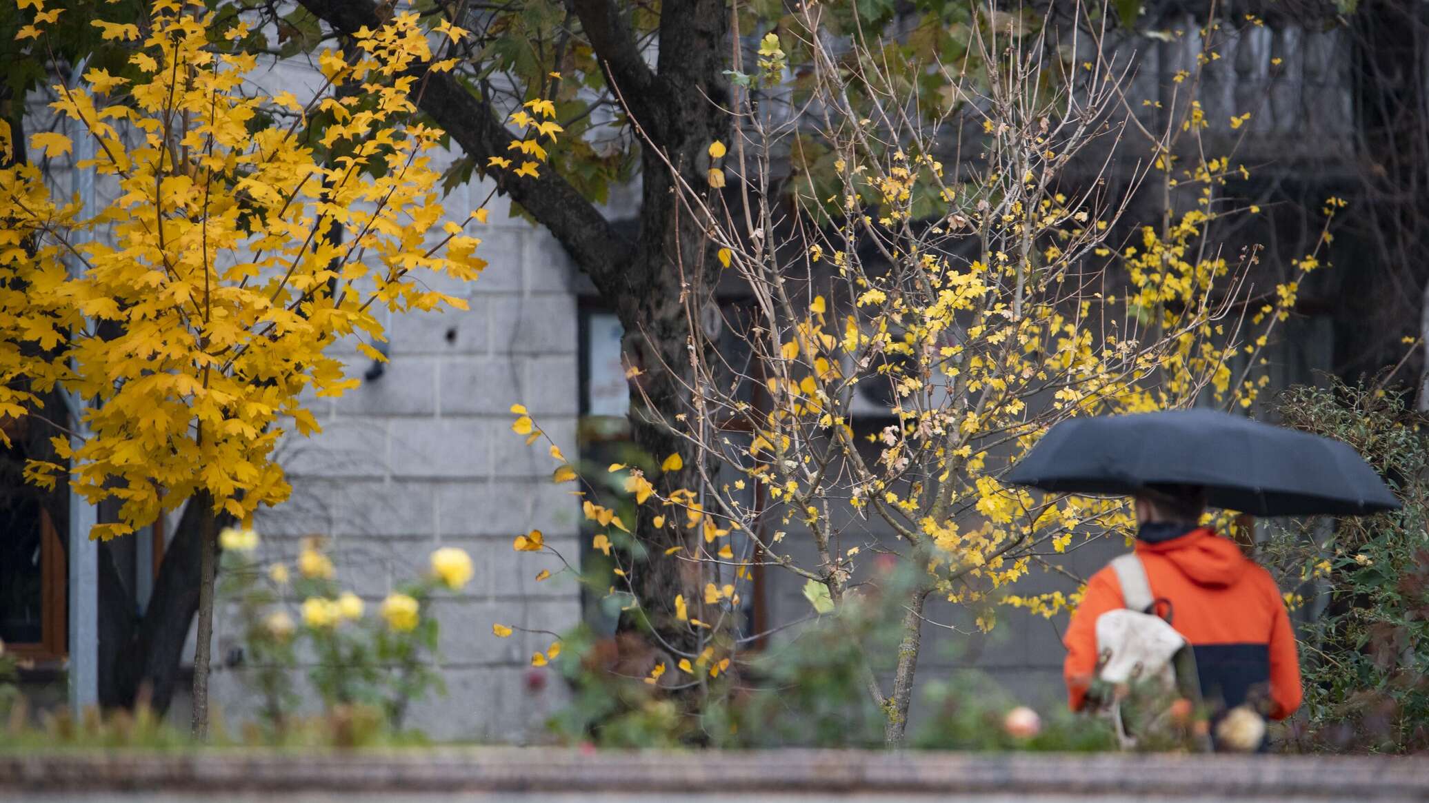 Похолодание и дожди ожидаются в Крыму в четверг