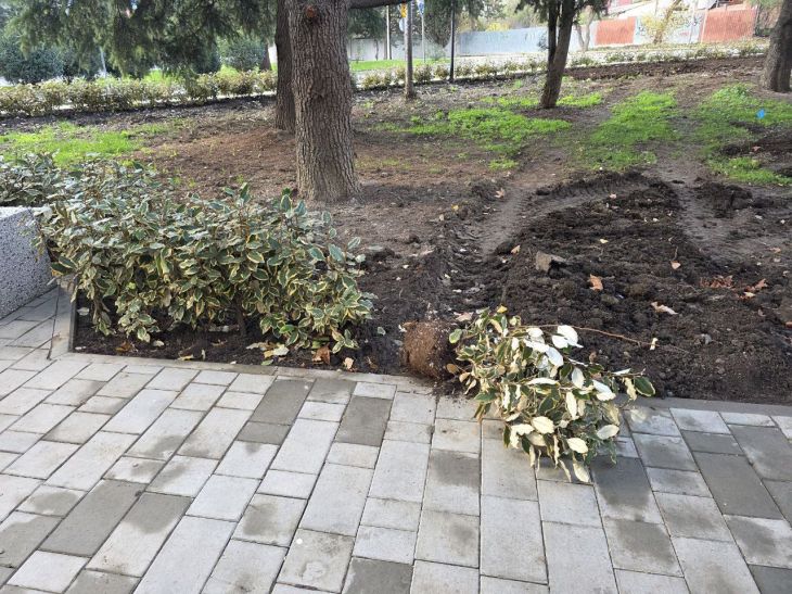 В Алуште завелись цветочные вандалы