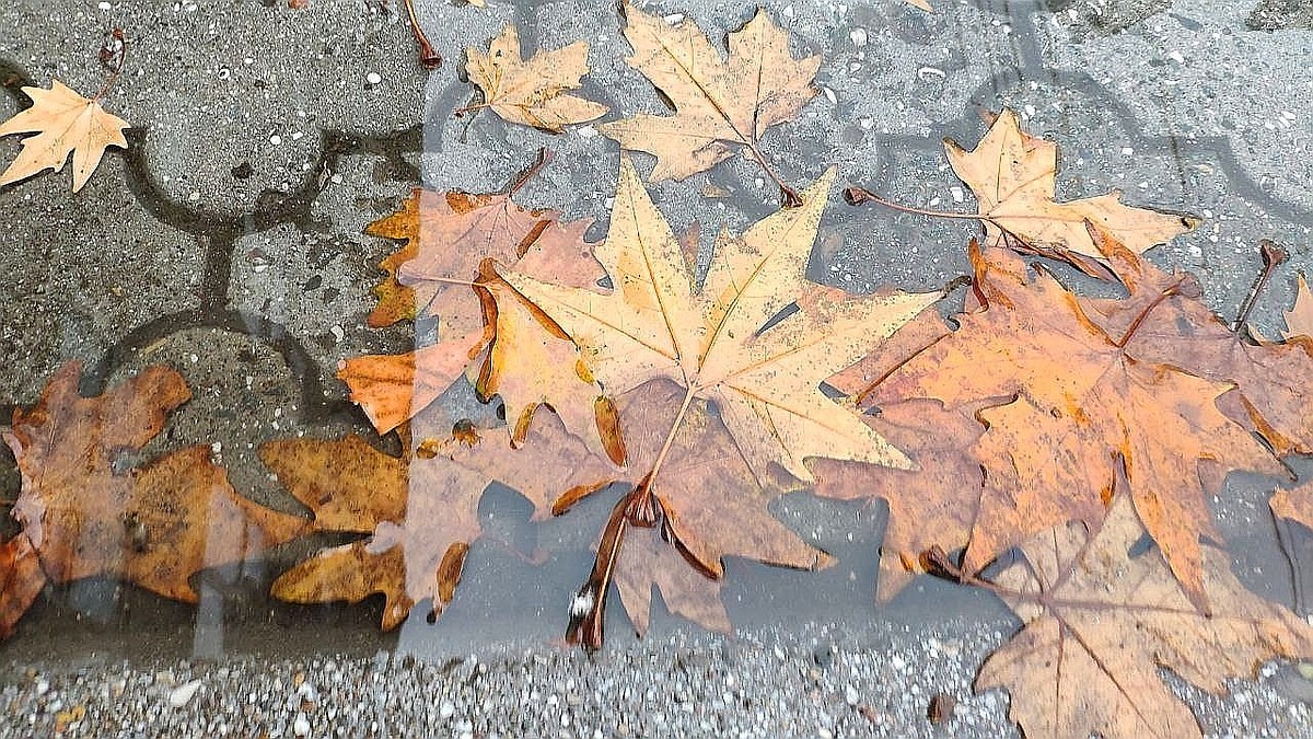 Погода на 13 ноября 2025 года в Крыму и Севастополе: воздух прогреется до 12 градусов