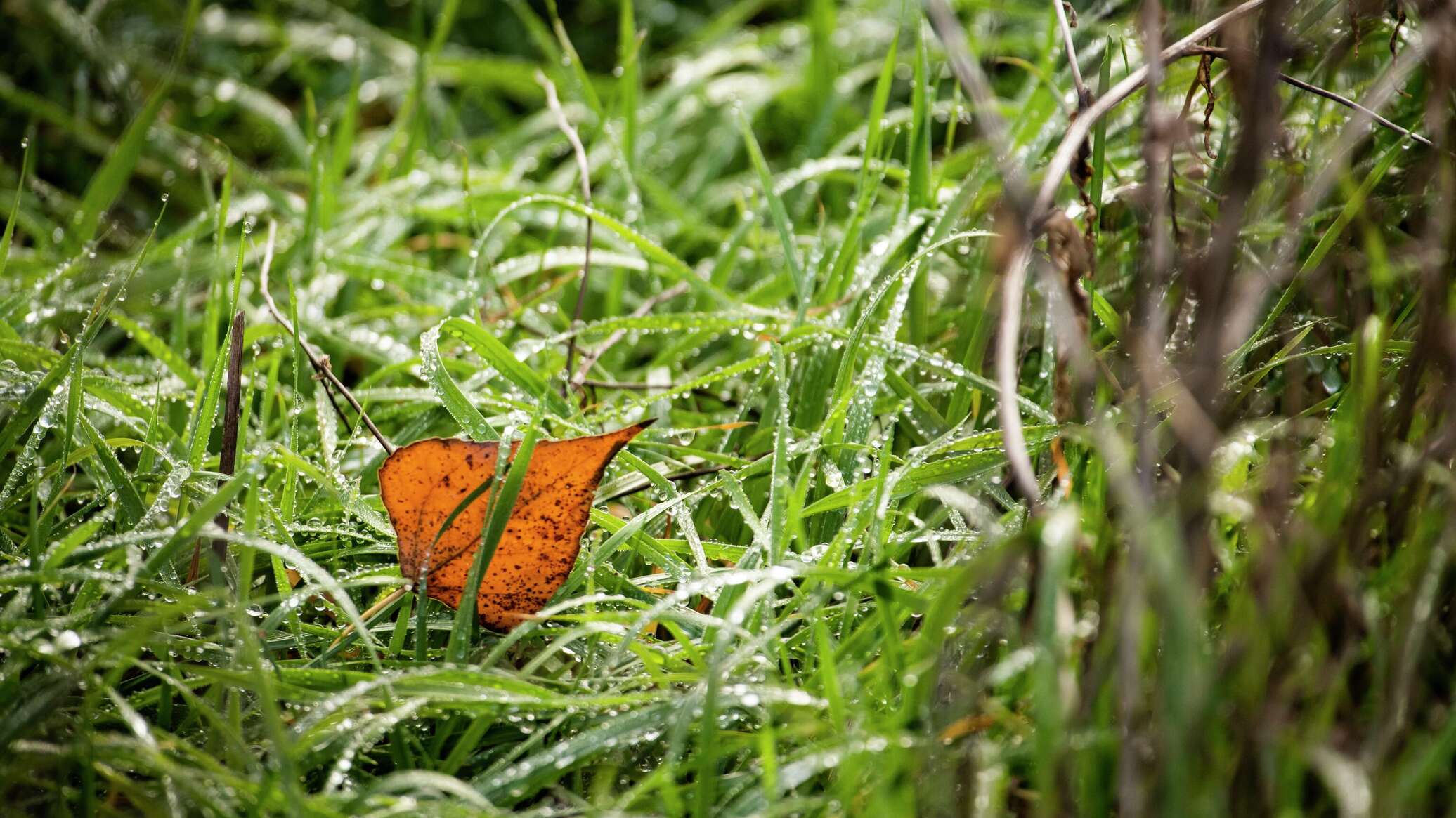 Какую погоду принесет в Крым в пятницу высотный циклон