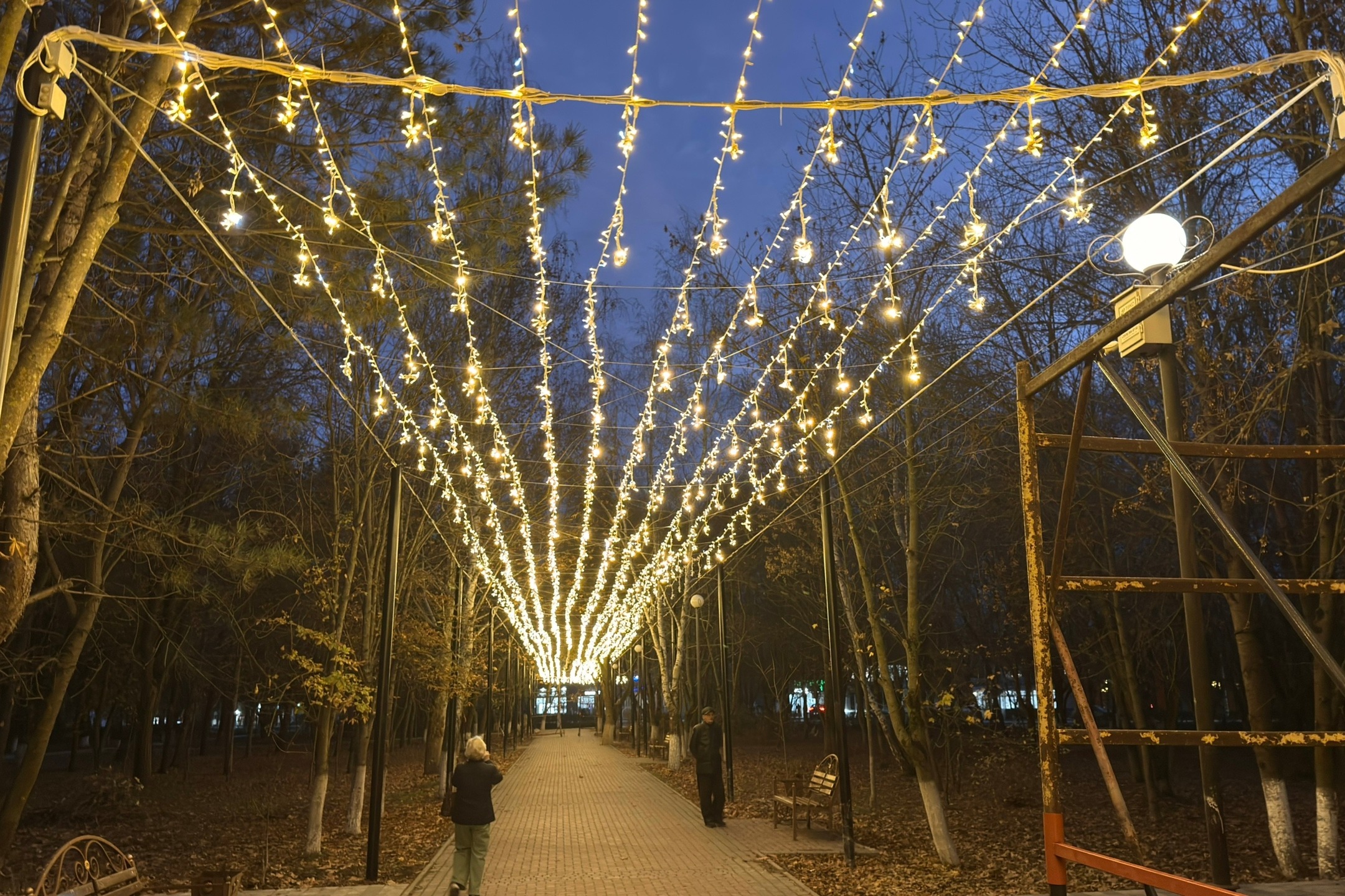 Проект администрации Нижнегорского сельского поселения по установке декоративного освещения во Владимирском парке вошел в десятку лучших по Республике