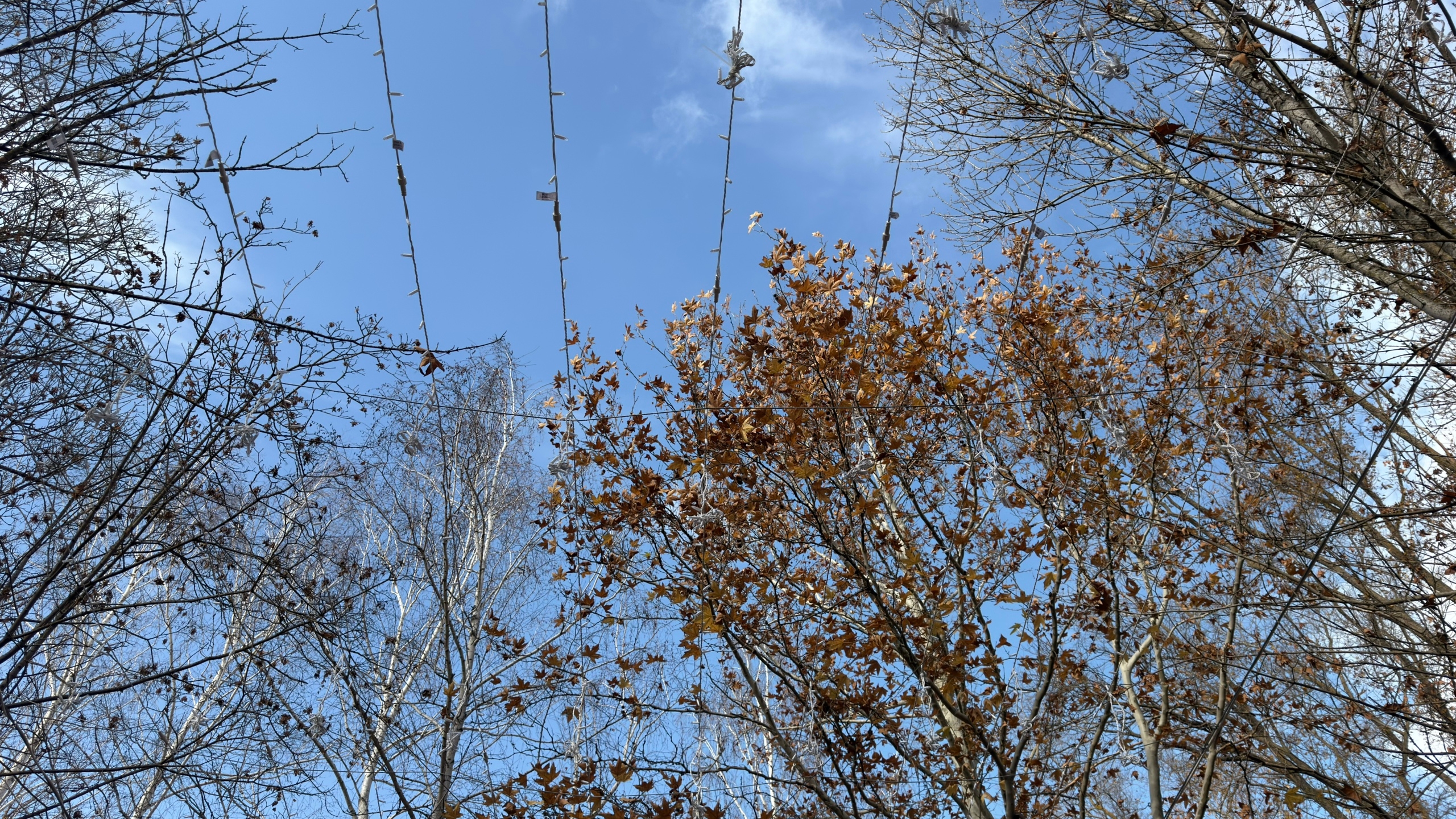 Проект администрации Нижнегорского сельского поселения по установке декоративного освещения во Владимирском парке вошел в десятку лучших по Республике Проект администрации Нижнегорского сельского поселения по установке декоративного освещения во Владимирском парке вошел в десятку лучших по Республике