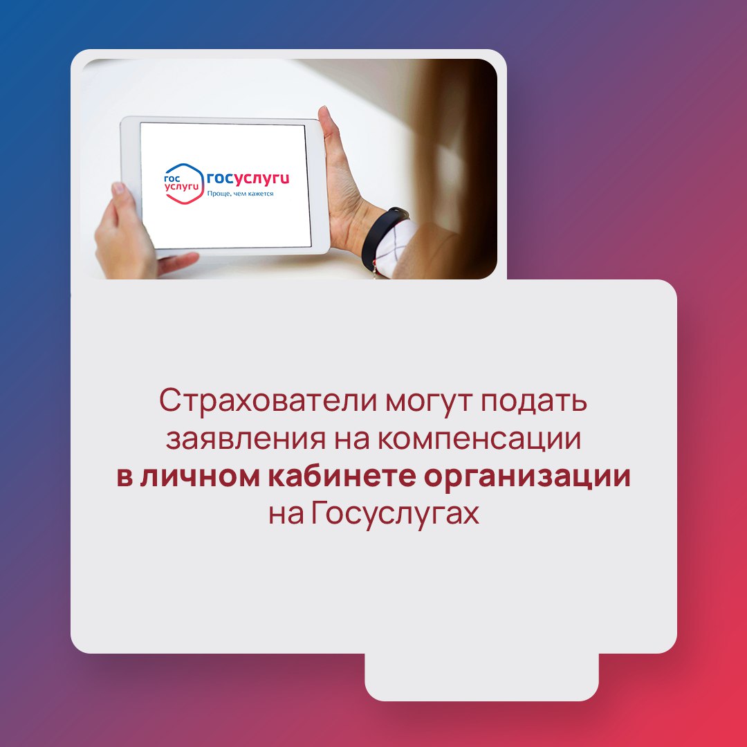 Социальный фонд России оказывает поддержку бизнесу Социальный фонд России оказывает поддержку бизнесу