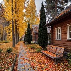 Какая погода ждёт жителей и гостей Крыма 15 ноября