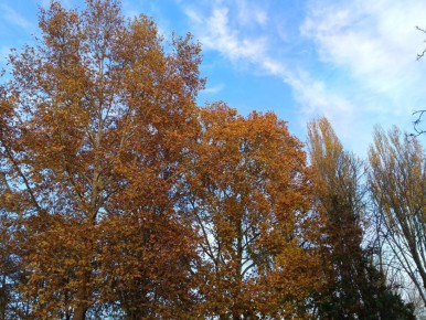 Прогноз погоды в Крыму на 15 ноября