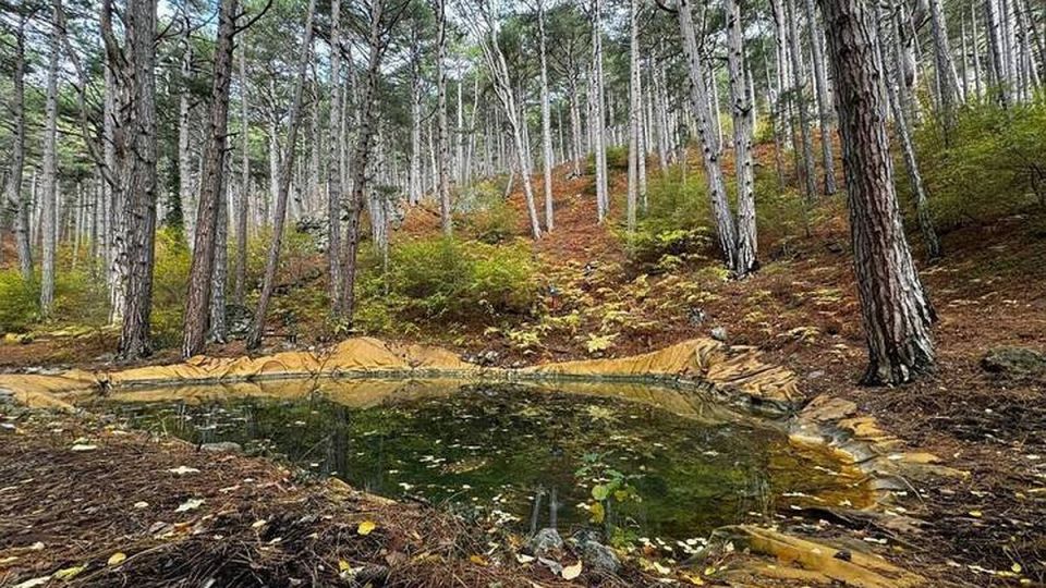 В Крыму начали очистку пожарных водоемов