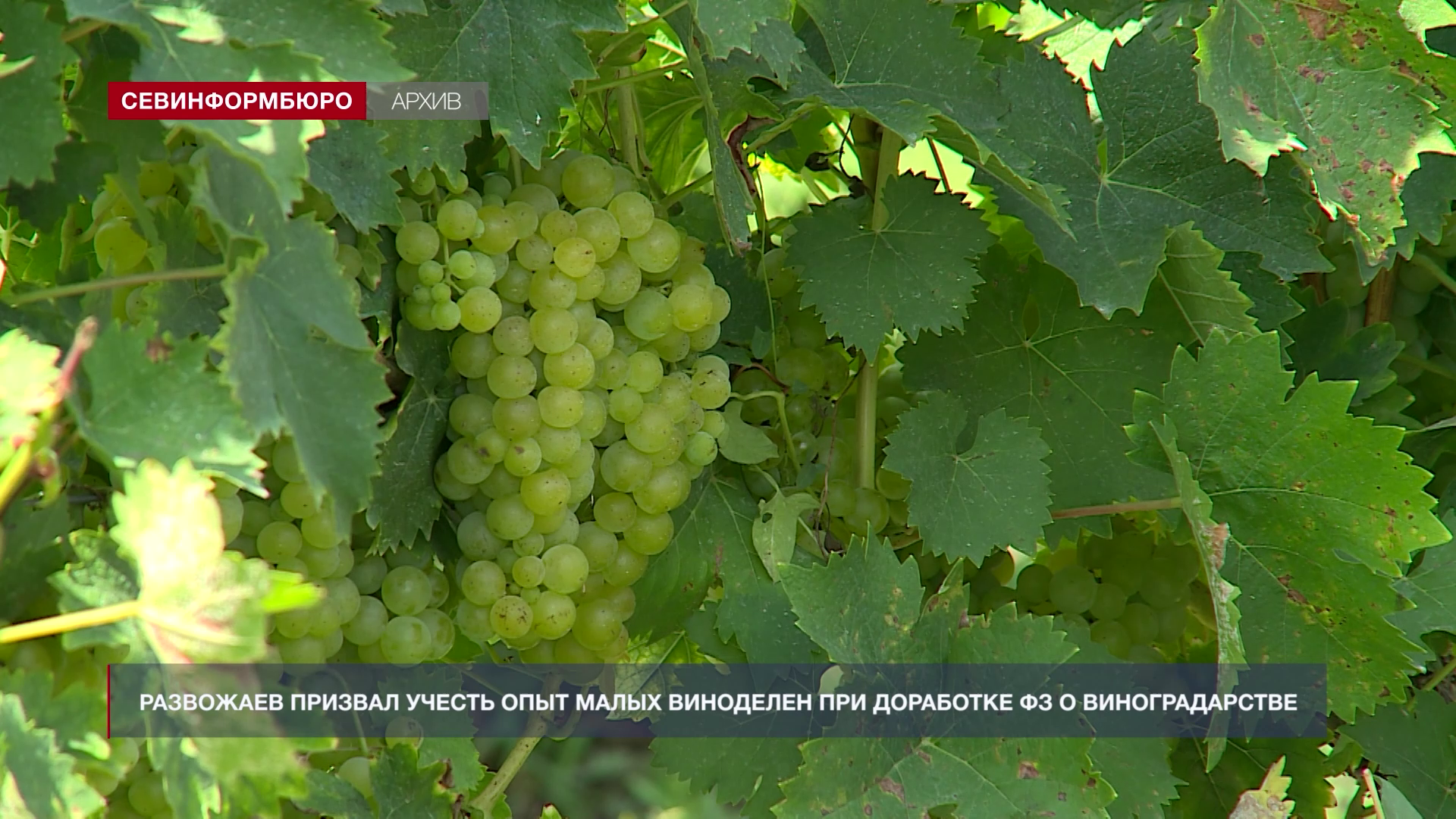 Основные события недели в Севастополе: 10 ноября – 16 ноября Основные события недели в Севастополе: 10 ноября – 16 ноября