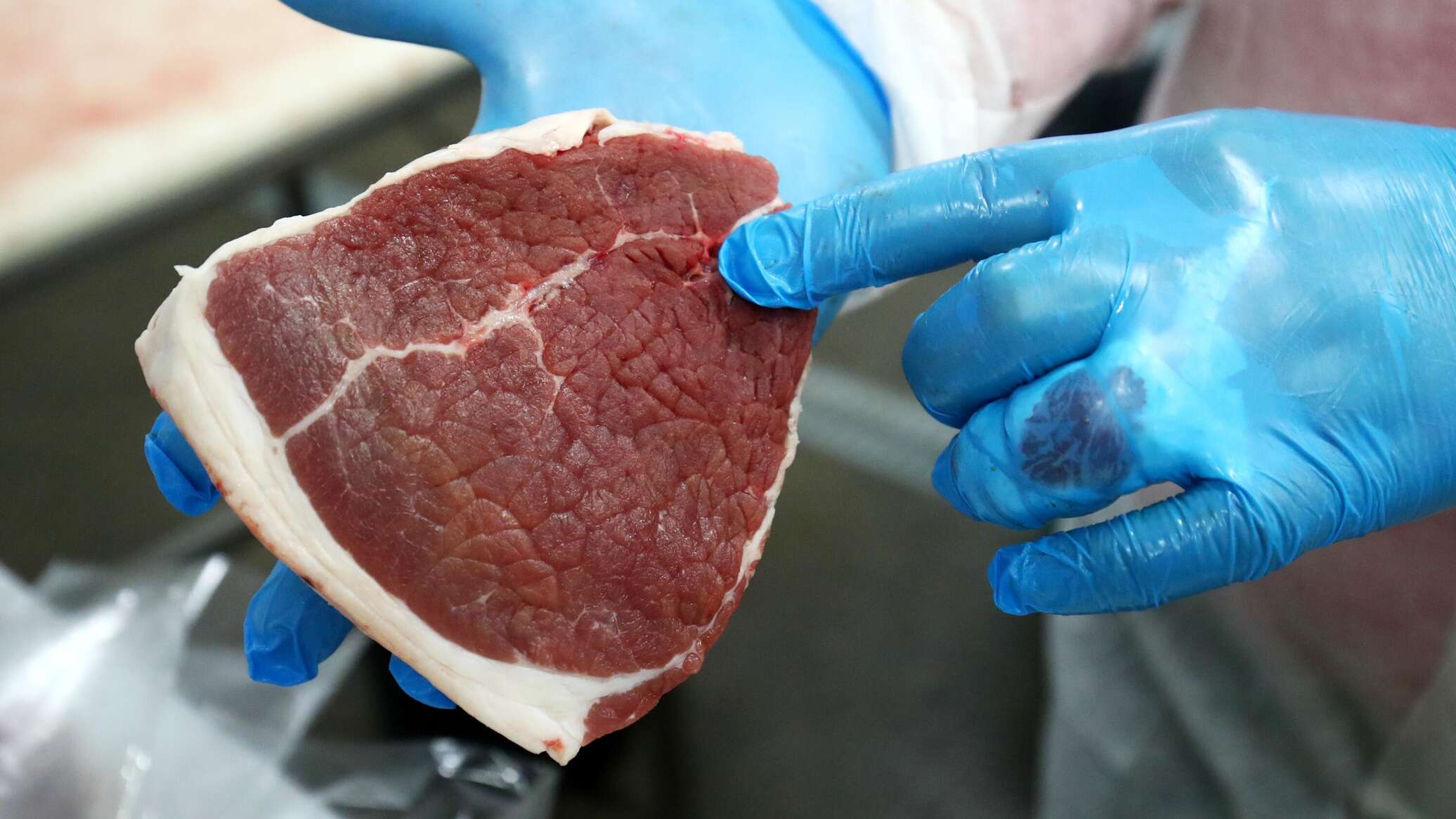 "Мраморная" говядина из Крыма: запущен эксперимент по выращиванию скота