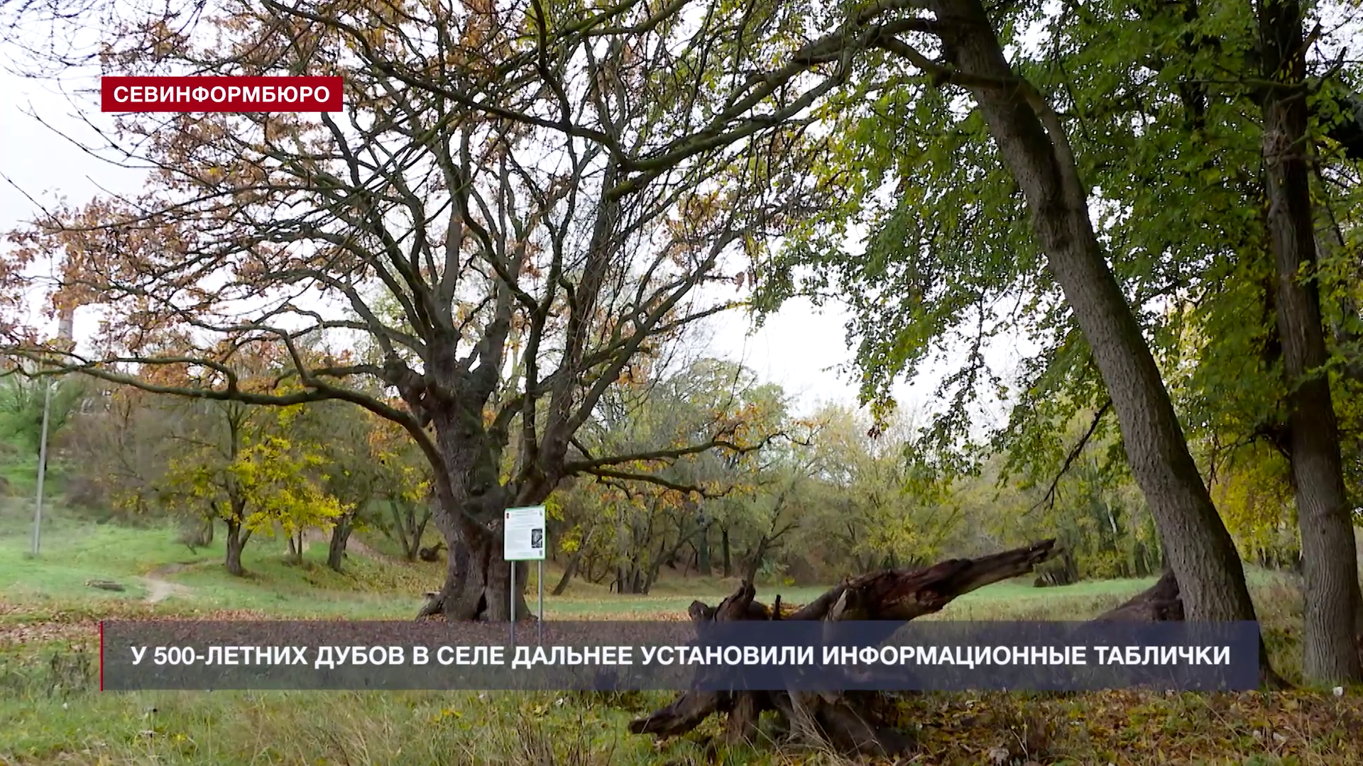 Основные события недели в Севастополе: 10 ноября – 16 ноября Основные события недели в Севастополе: 10 ноября – 16 ноября