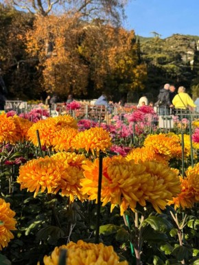 Какая погода ждёт жителей и гостей Крыма 16 ноября