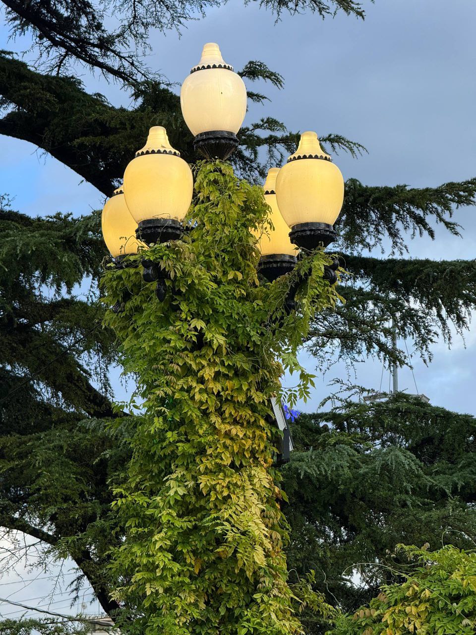 Янина Павленко: С добрым утром, любимый город До Нового года всего 44 дня! Совсем не верится, правда? Ещё столько ярких красок не растратила осень Любуемся красотой, друзья Янина Павленко: С добрым утром, любимый город До Нового года всего 44 дня! Совсем не верится, правда? Ещё столько ярких красок не растратила осень Любуемся красотой, друзья