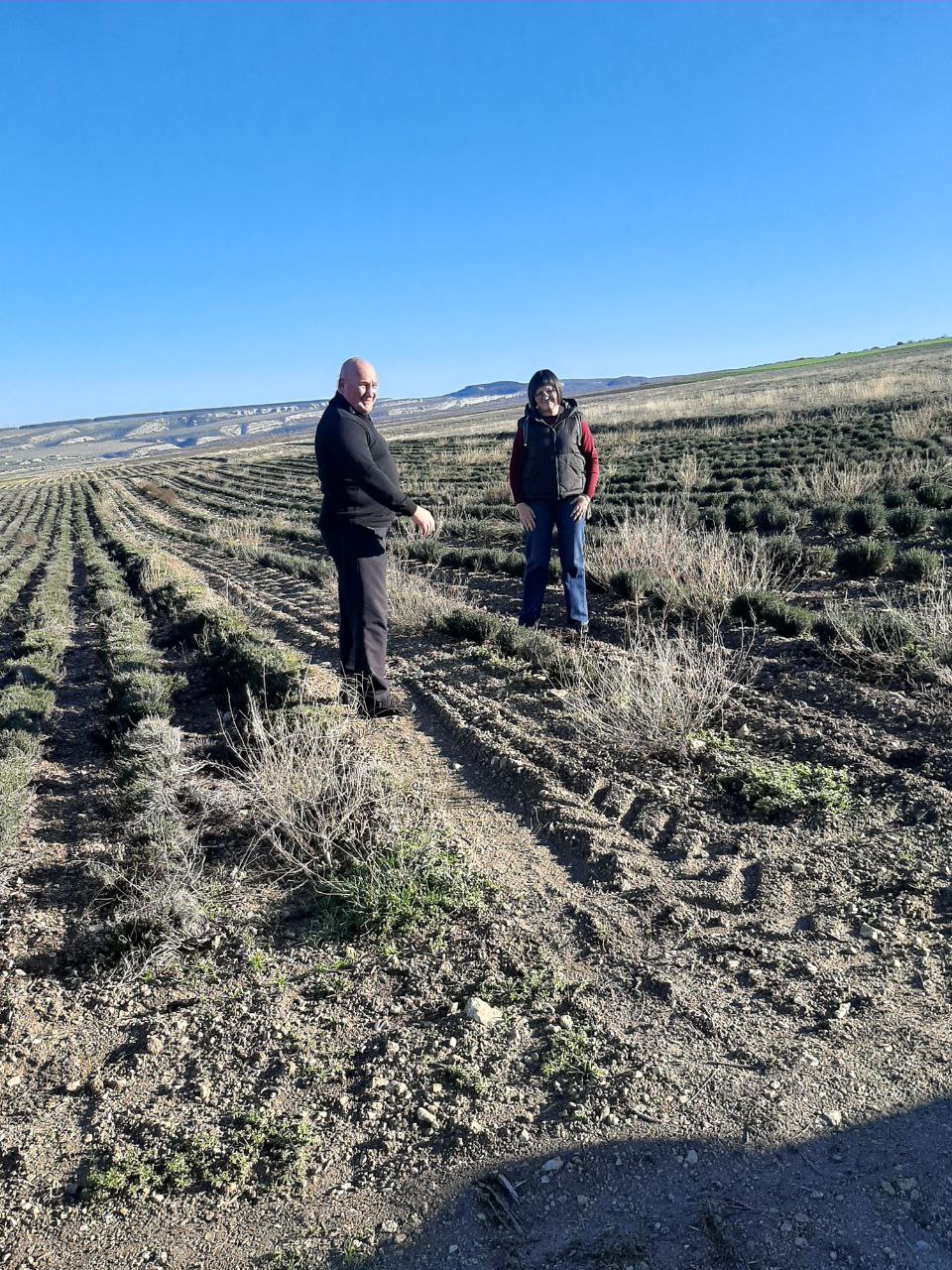 Участник программы «Герои Крыма» Андрей Зырянов ознакомился с передовым опытом эфиромасличной отрасли полуострова Участник программы «Герои Крыма» Андрей Зырянов ознакомился с передовым опытом эфиромасличной отрасли полуострова