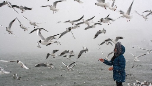 Четвертый месяц осени? Погода на декабрь в Крыму-2025