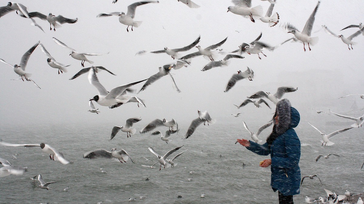 Четвертый месяц осени? Погода на декабрь в Крыму-2025