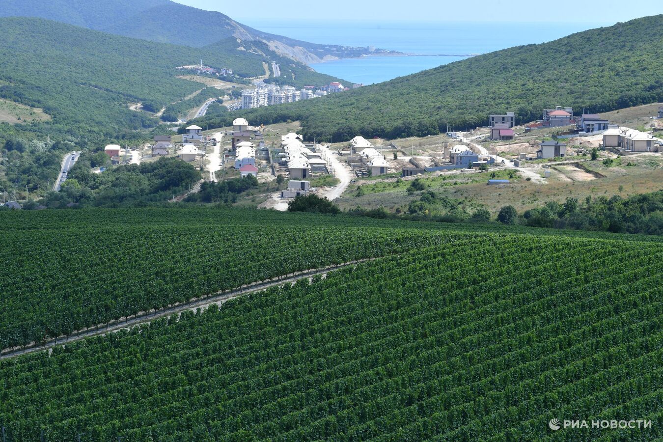 Эксперт назвал самые любимые вина россиян