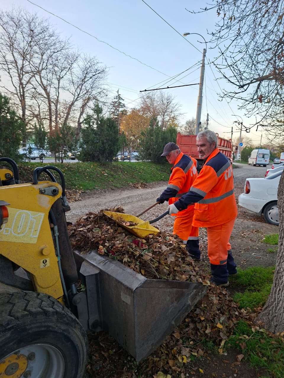 Сотрудники МБУ "Город" продолжают свою работу по сбору и вывозу опавших листьев
