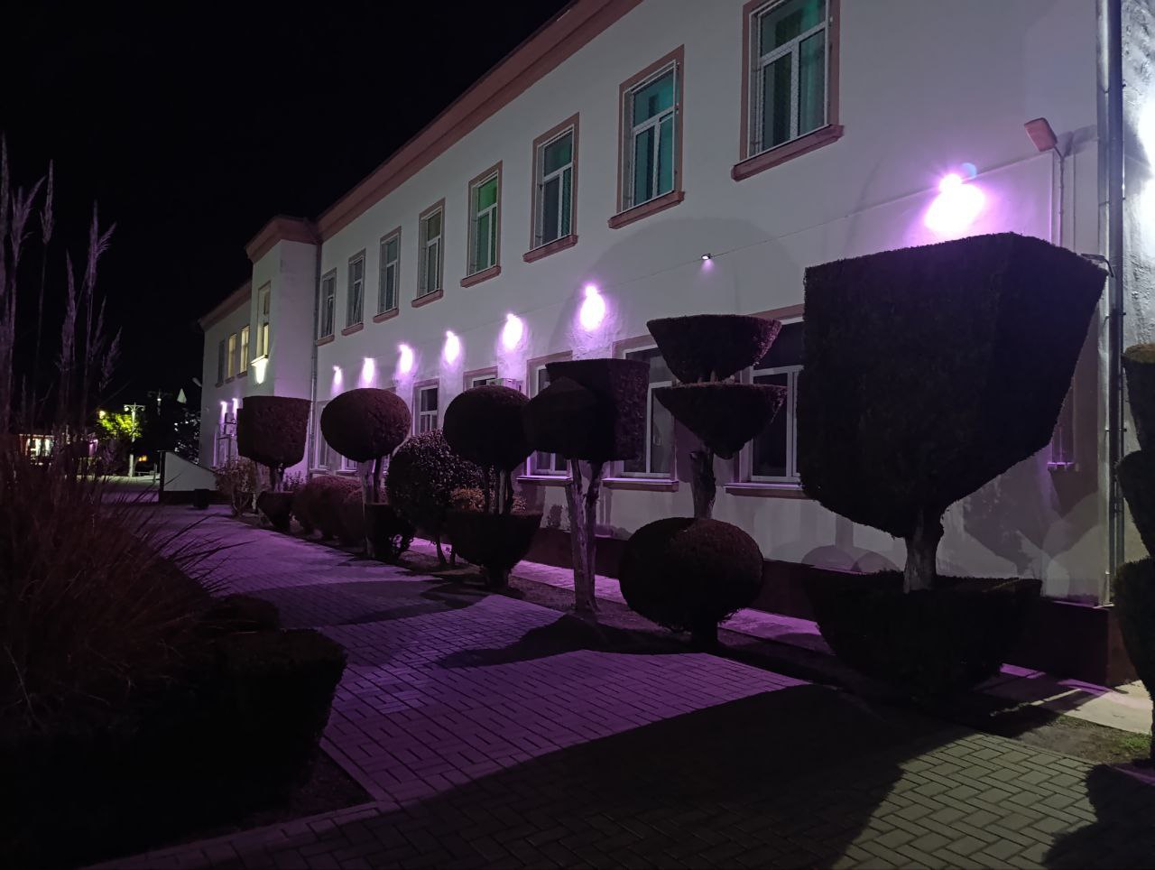 Крым присоединился к Всероссийской акции, приуроченной к Международному дню недоношенных детей Крым присоединился к Всероссийской акции, приуроченной к Международному дню недоношенных детей