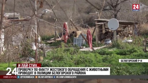 Житель Белогорского района жестоко расправился с собственными собаками