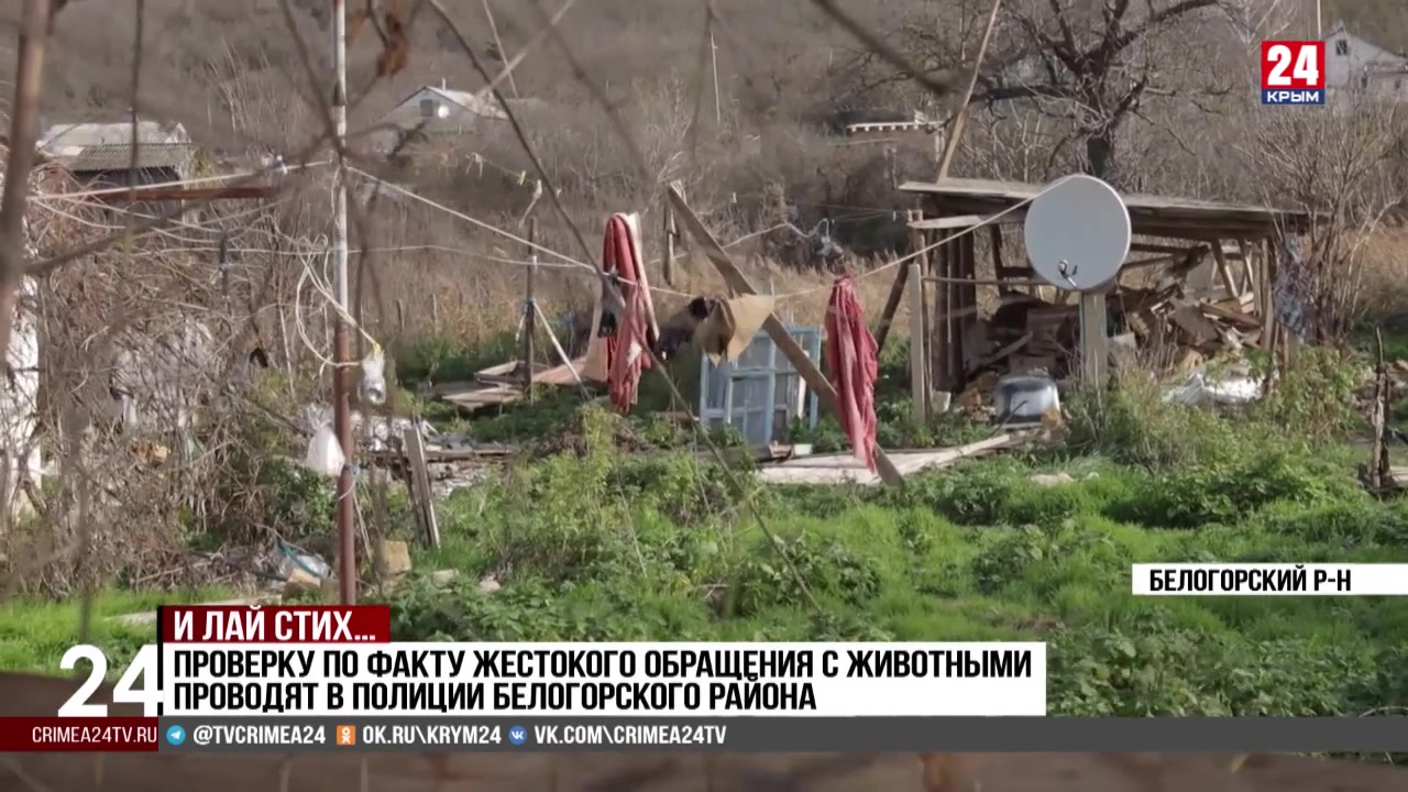 Житель Белогорского района жестоко расправился с собственными собаками