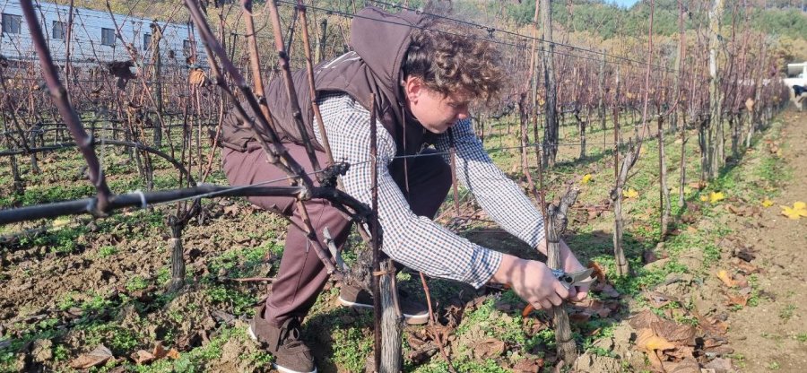 Молодые специалисты выбирают работу в сельском хозяйстве Молодые специалисты выбирают работу в сельском хозяйстве