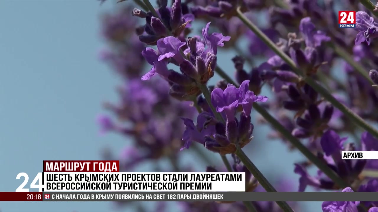 Шесть крымских проектов стали лауреатами Всероссийской туристической премии