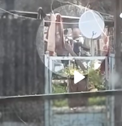 Проверку по факту жестокого обращения с животными проводят в Белогорском районе