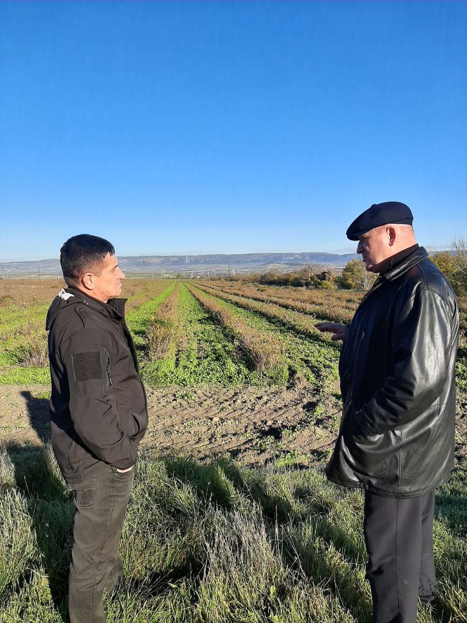 Участник программы «Герои Крыма» Андрей Зырянов ознакомился с передовым опытом эфиромасличной отрасли полуострова Участник программы «Герои Крыма» Андрей Зырянов ознакомился с передовым опытом эфиромасличной отрасли полуострова