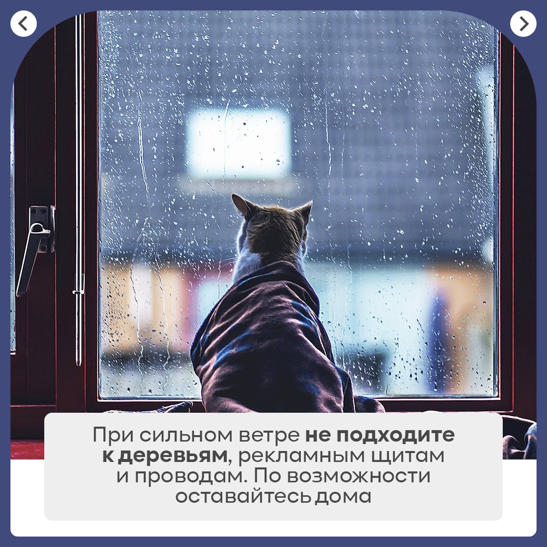 На полуострове объявлено штормовое предупреждение На полуострове объявлено штормовое предупреждение