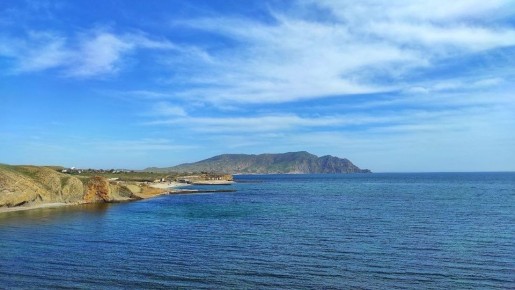 Ихтиолог раскрыла секрет появления пиленгаса в Крыму