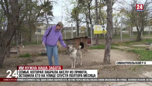   2025      100 ,     60