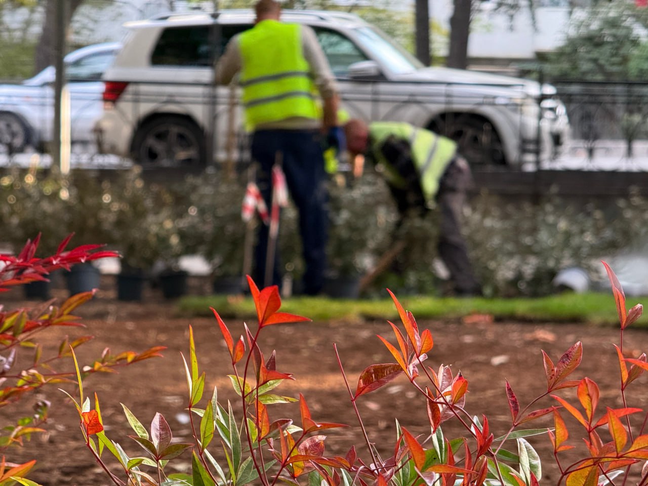 Янина Павленко: Зеленое благоустройство центра Ялты буквально «под ключ» Янина Павленко: Зеленое благоустройство центра Ялты буквально «под ключ»