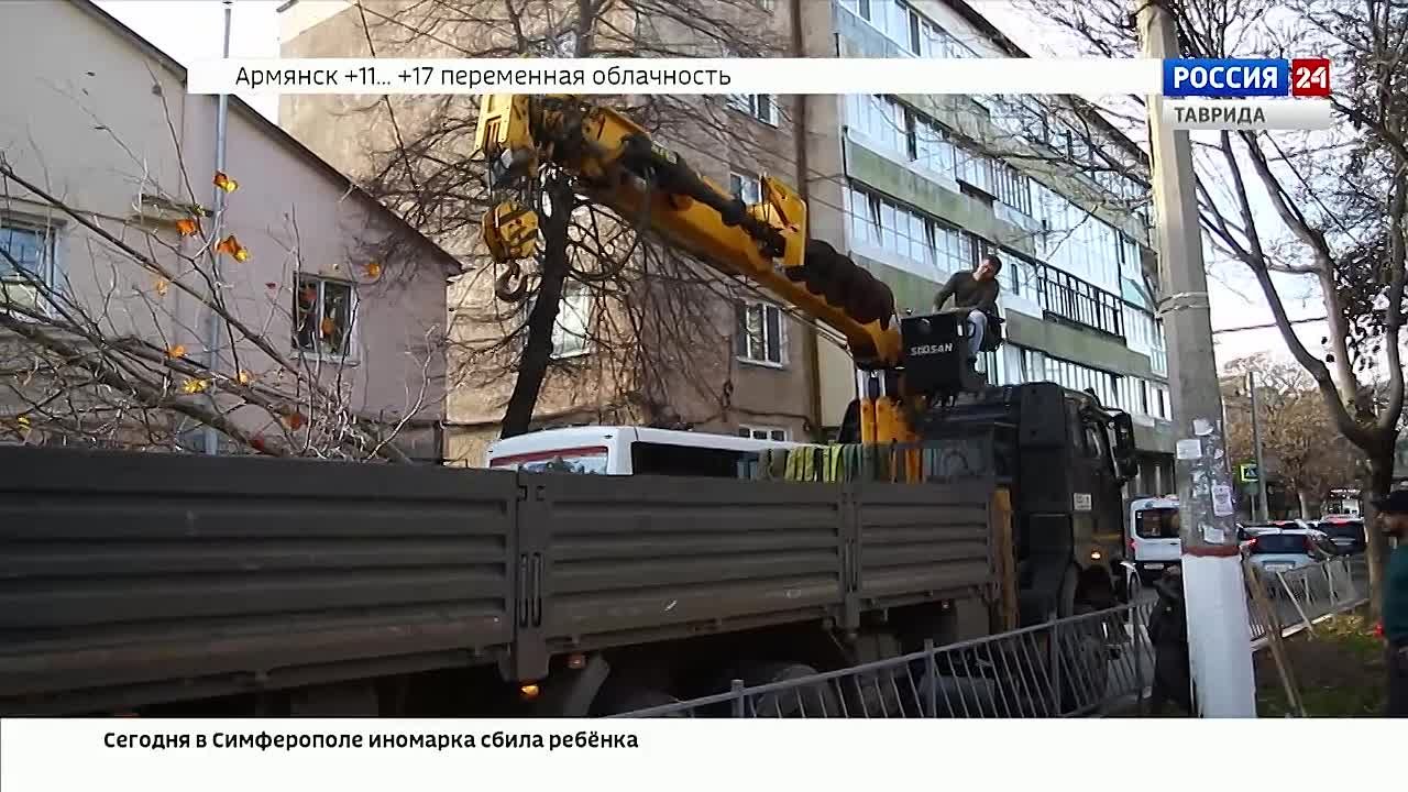 В Симферополе коммунальные службы приступили к компенсационной высадке зелёных насаждений