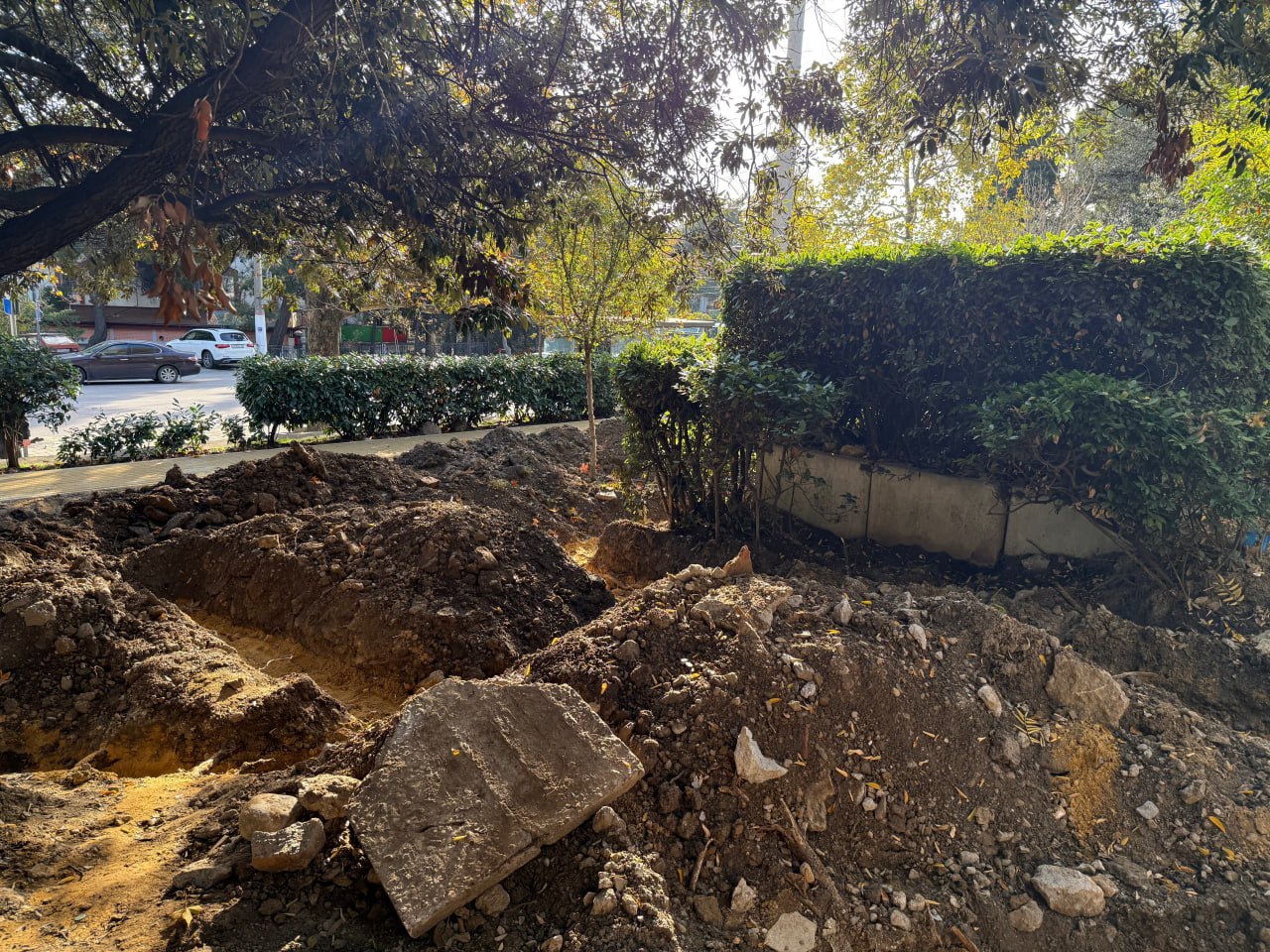 Янина Павленко: Зеленое благоустройство центра Ялты буквально «под ключ» Янина Павленко: Зеленое благоустройство центра Ялты буквально «под ключ»