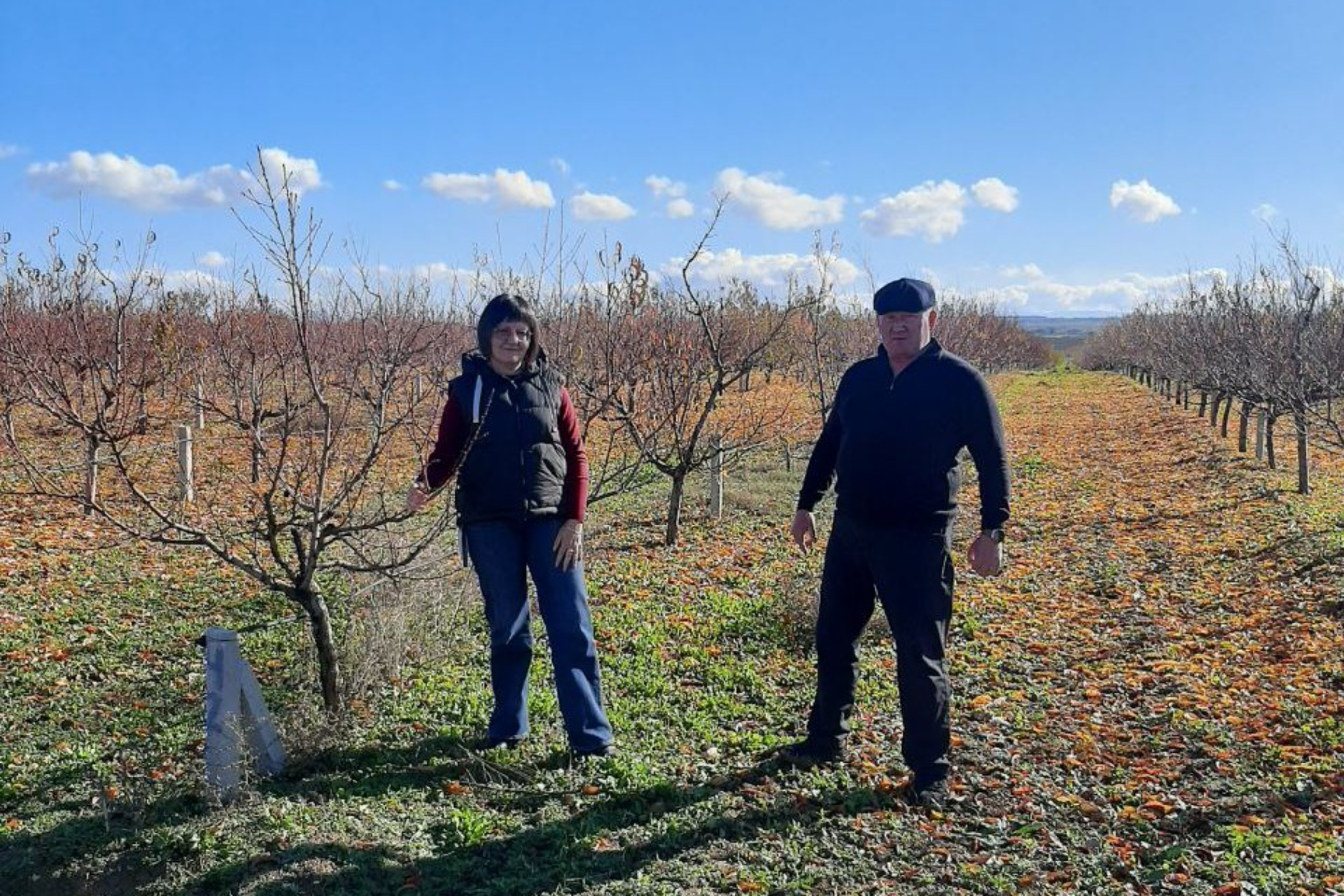 Участник программы «Герои Крыма» Андрей Зырянов ознакомился с передовым опытом мелиорации садов в Бахчисарайском районе