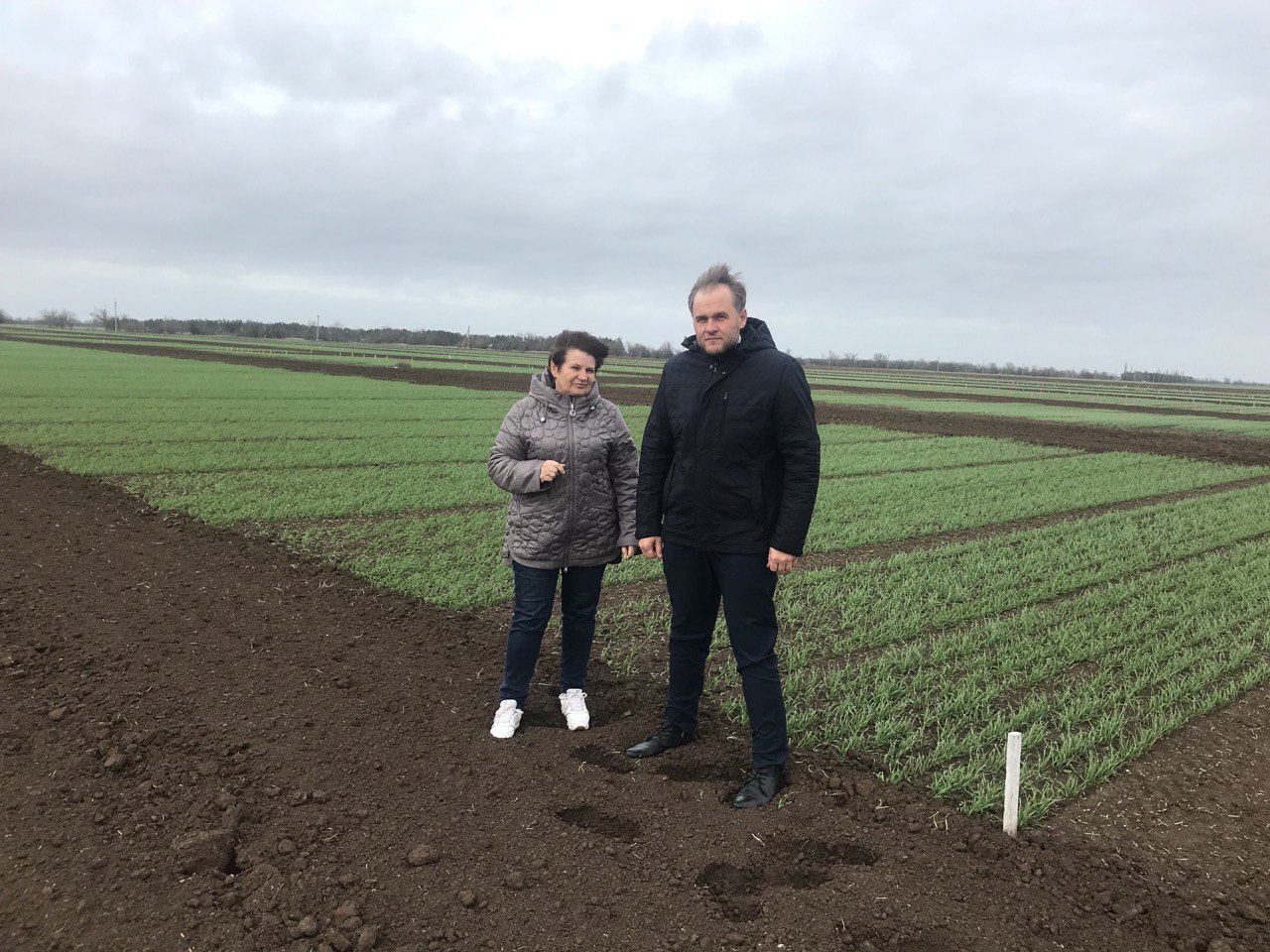 Заместитель министра сельского хозяйства Республики Крым Николай Тютюник провел мониторинг озимых культур в Красногвардейском районе Заместитель министра сельского хозяйства Республики Крым Николай Тютюник провел мониторинг озимых культур в Красногвардейском районе