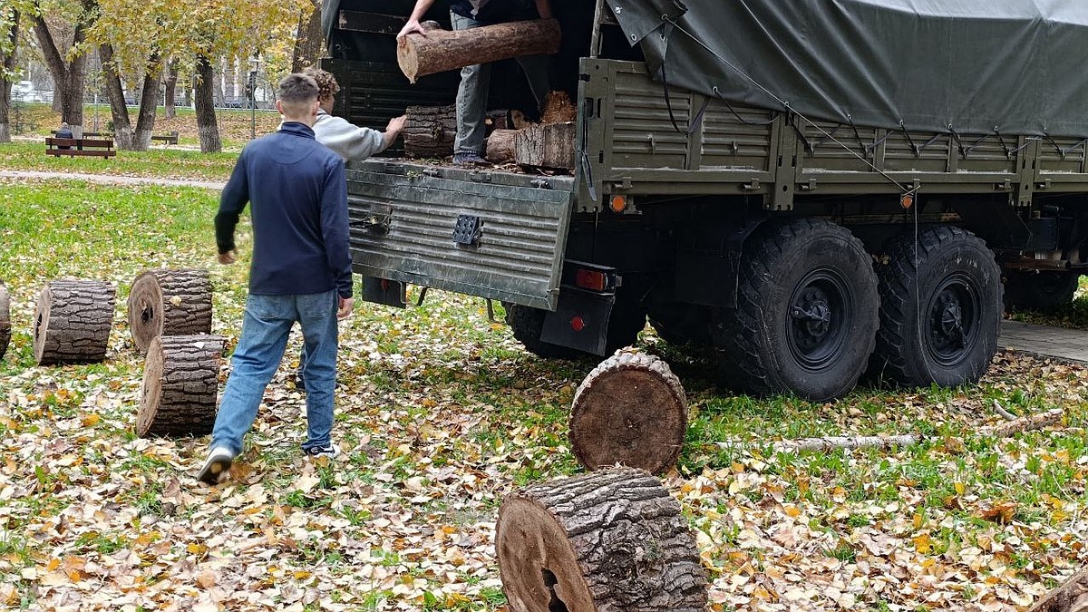 Из симферопольского парка в зону СВО передали 12 кубометров дров