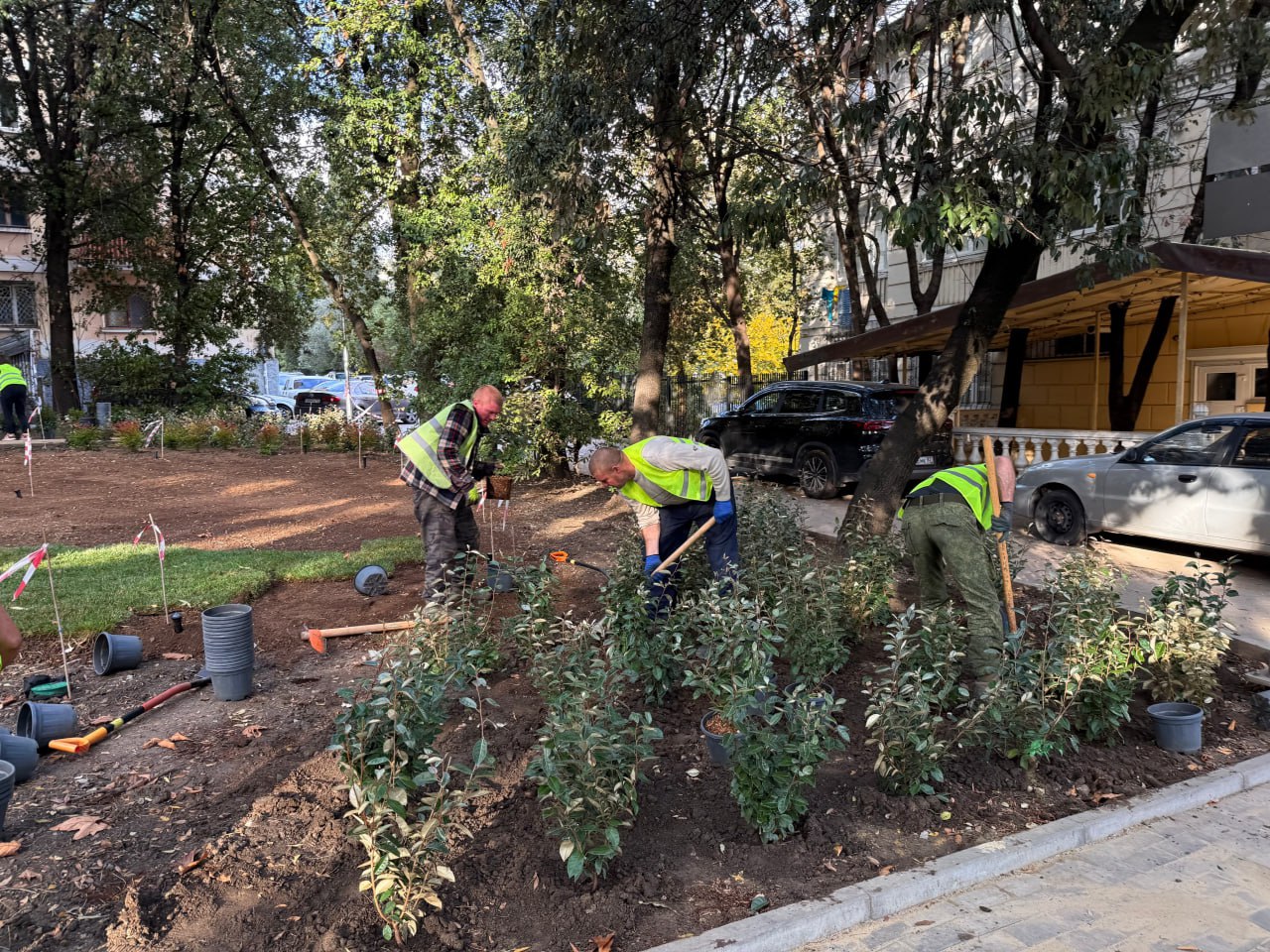 Янина Павленко: Зеленое благоустройство центра Ялты буквально «под ключ» Янина Павленко: Зеленое благоустройство центра Ялты буквально «под ключ»