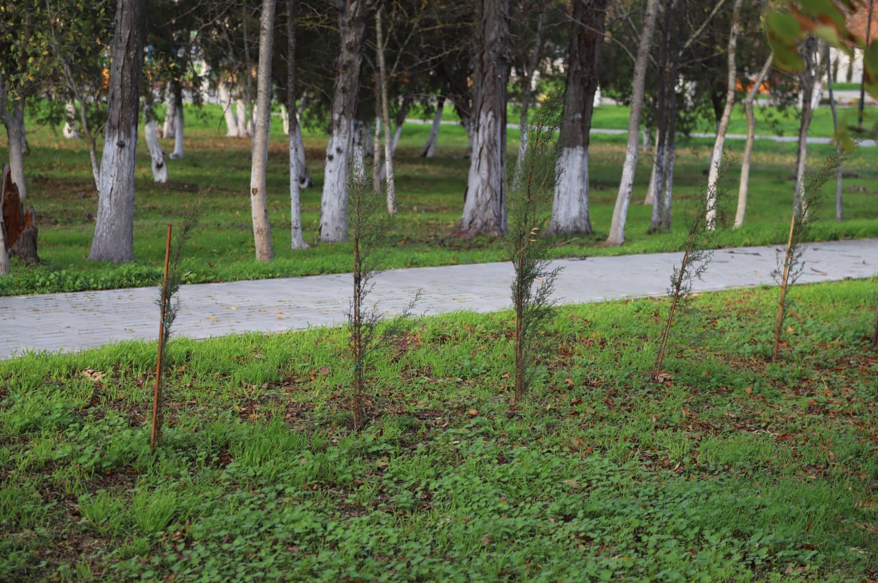 Руководитель аппарата администрации Бахчисарайского района Валентина Миронова и сотрудниками сельсовета проверила санитарное состояние дворов и общественных пространств села Табачное Руководитель аппарата администрации Бахчисарайского района Валентина Миронова и сотрудниками сельсовета проверила санитарное состояние дворов и общественных пространств села Табачное