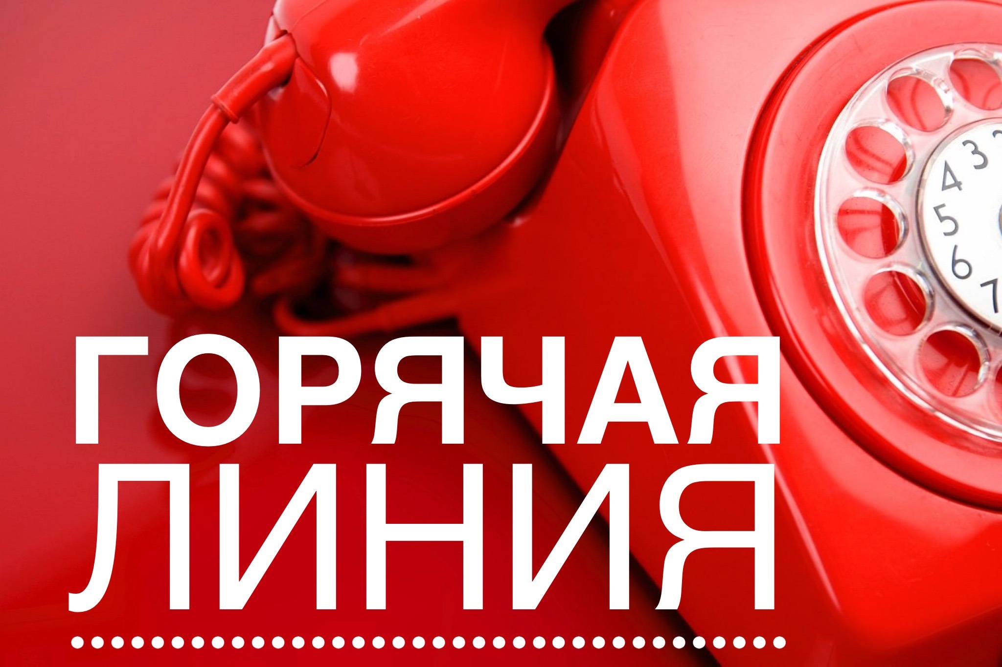 Горячая линия по вопросам транспортных услуг