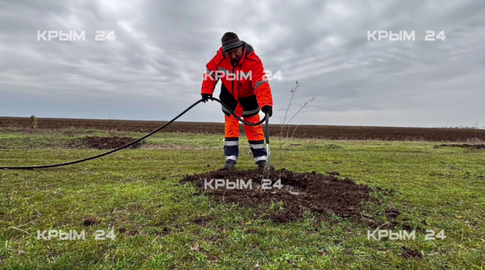 В Крыму продолжаются масштабные работы по озеленению обочин трасс В Крыму продолжаются масштабные работы по озеленению обочин трасс