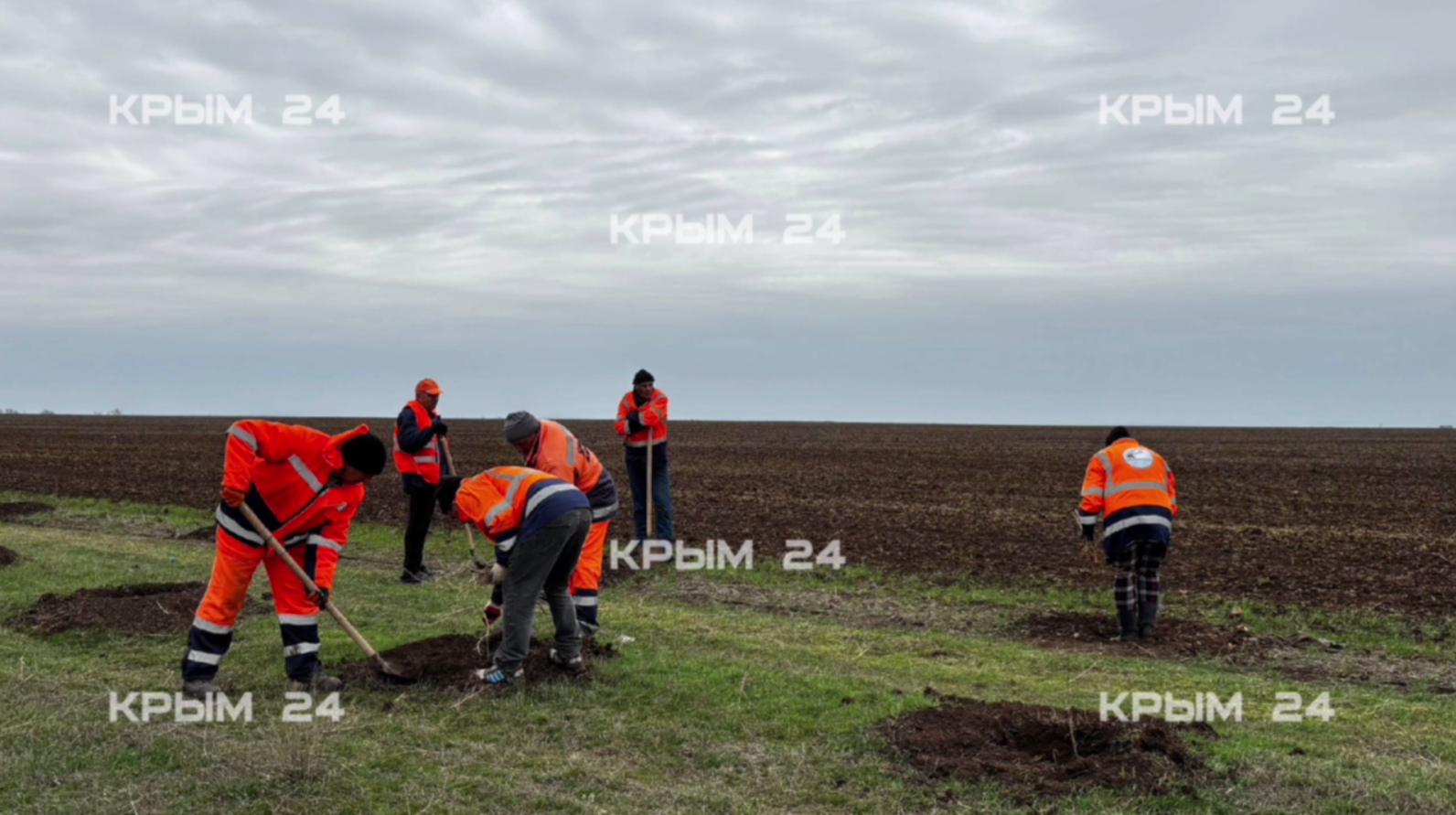 В Крыму продолжаются масштабные работы по озеленению обочин трасс В Крыму продолжаются масштабные работы по озеленению обочин трасс